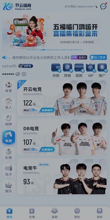 开云体育 - 电竞游戏